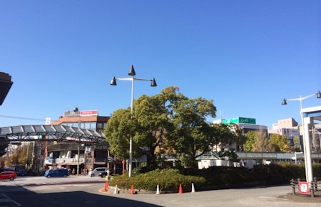 横浜市青葉区の風景写真